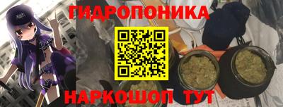 ALPHA PVP Тверь