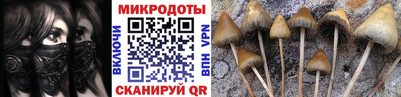 купить   Бийск  Галлюциногенные грибы ЛСД 