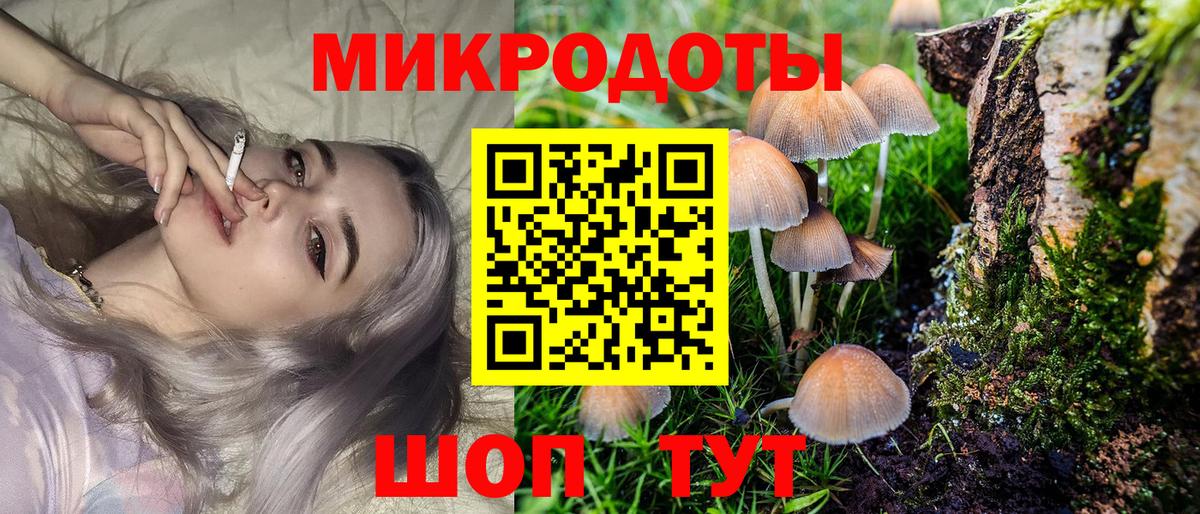 Галлюциногенные грибы Psilocybe  наркота  Бийск  Галлюциногенные грибы мухоморы  Вход с VPN 